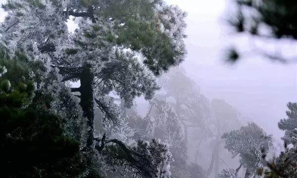 宜章县“传承好人精神,建设好人之城”第三届好人文化节举行