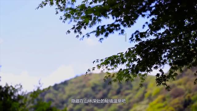 南安举办“返家乡”大学生社会实践活动