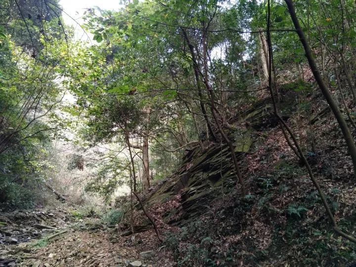 履职尽责展新貌 笃行实干谱新篇