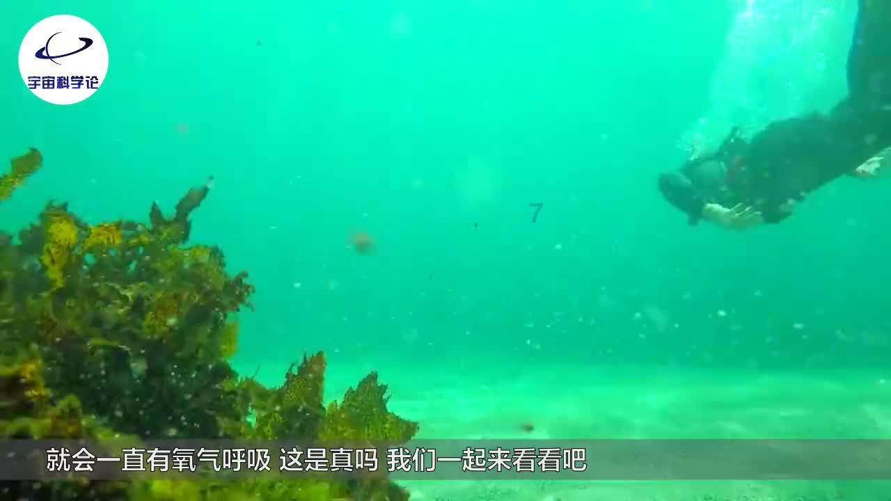 江苏:围绕“稳产增收四提升”推进乡村振兴