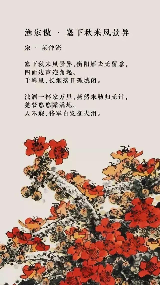 寻找沙漠珍宝