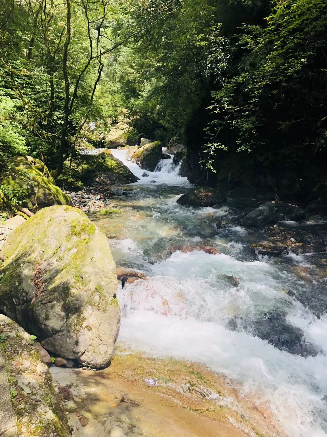饥饿的松鼠救援