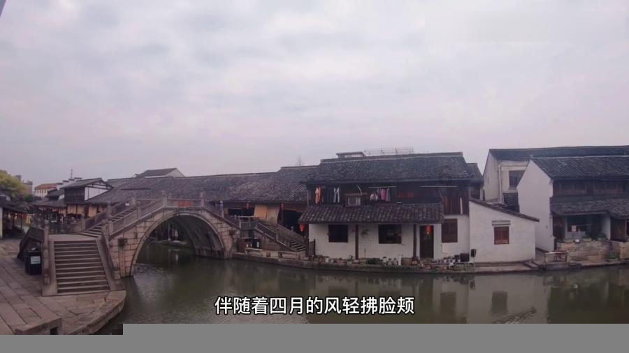 拯救可爱小浣熊