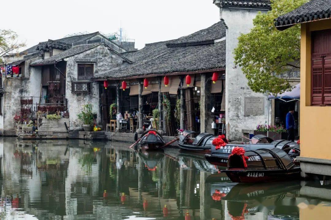 僵尸维京