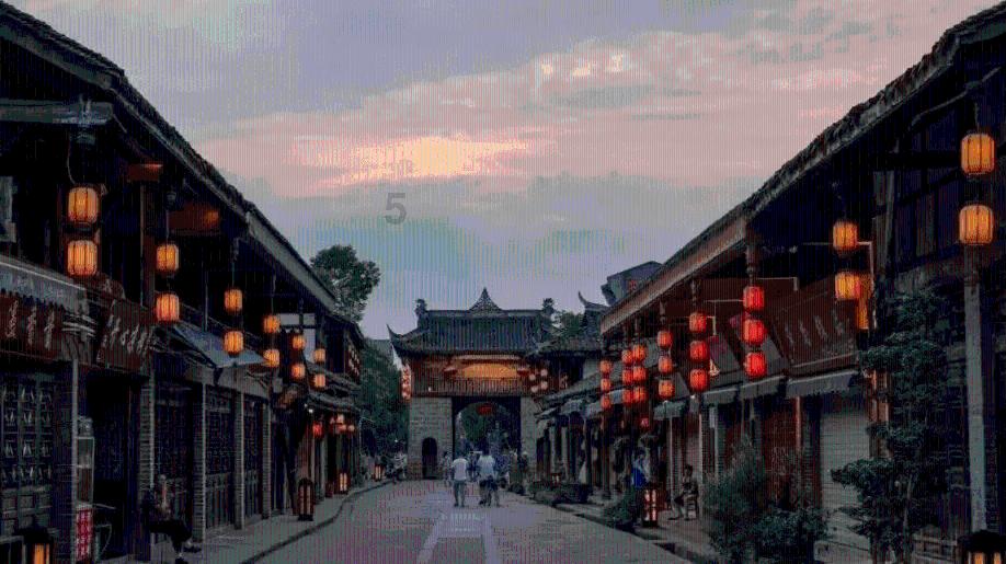 救援非洲金猫